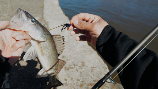 5 Pcs Rizing Rivers Premium Bucktail Flies (Black Leech) - Outdoor Habits Collaboration Fly