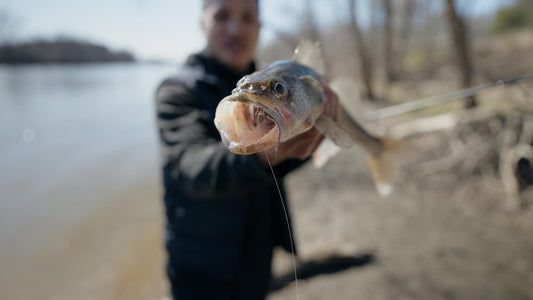 5 Pcs Rizing Rivers Premium Bucktail Flies (Baby Sheepshead) - Outdoor Habits Collaboration Fly
