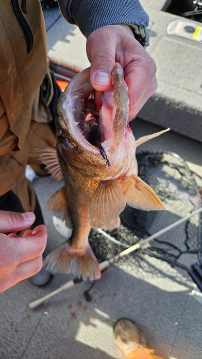 5 Pcs Rizing Rivers Premium Bucktail Flies (The Joker) - Shia's Outdoor Adventures Collaboration Fly