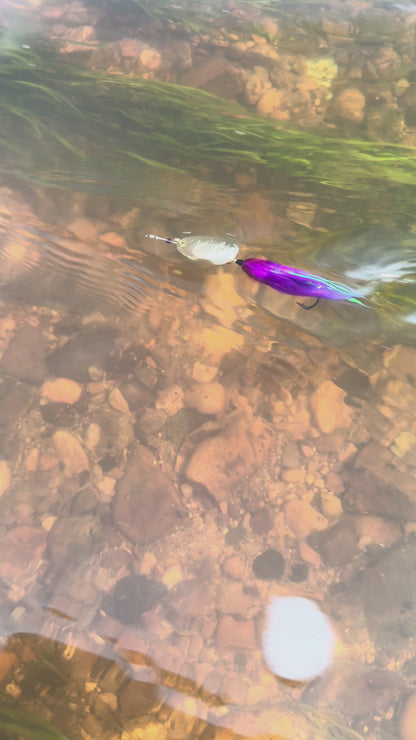 Rizing Rivers Coho Series Spinner (Purple/Blue)